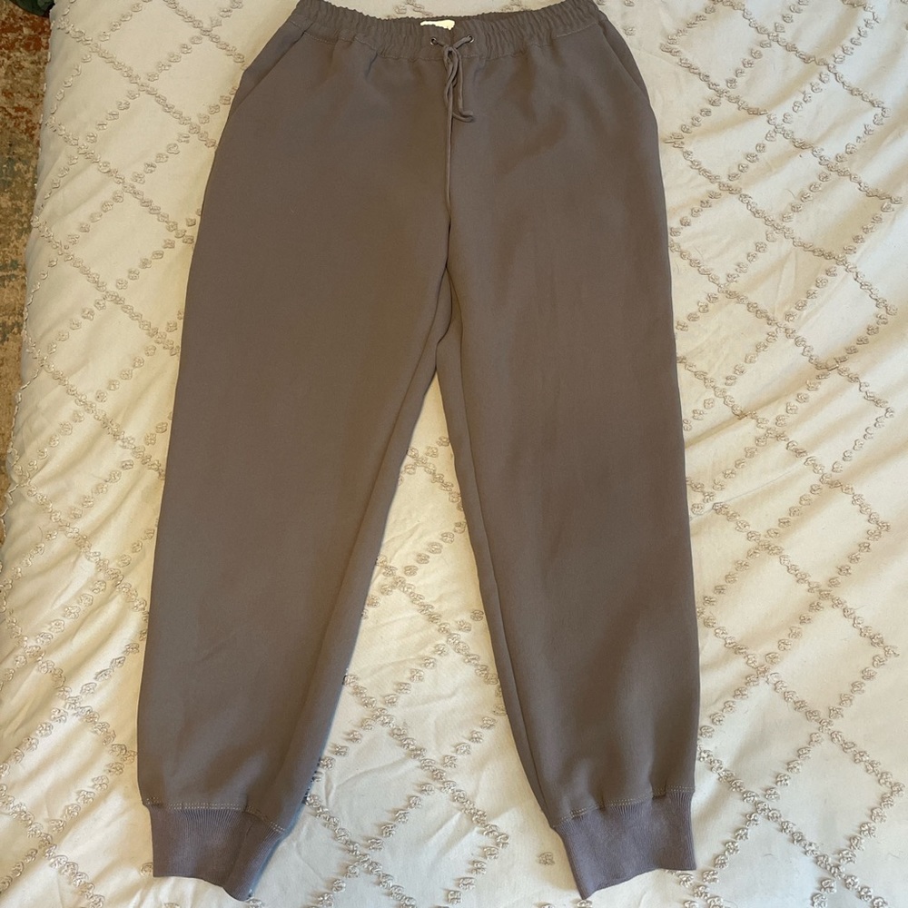 Aritzia jogger pants